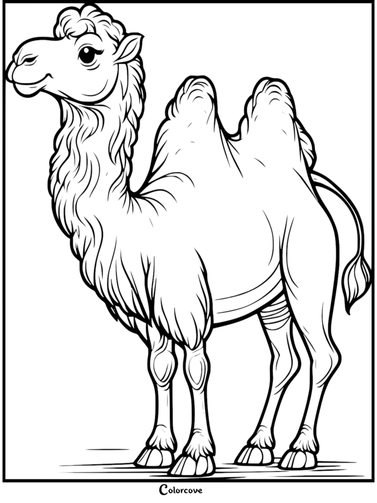 A cute camel with two humps standing in a simple line art style coloring page.