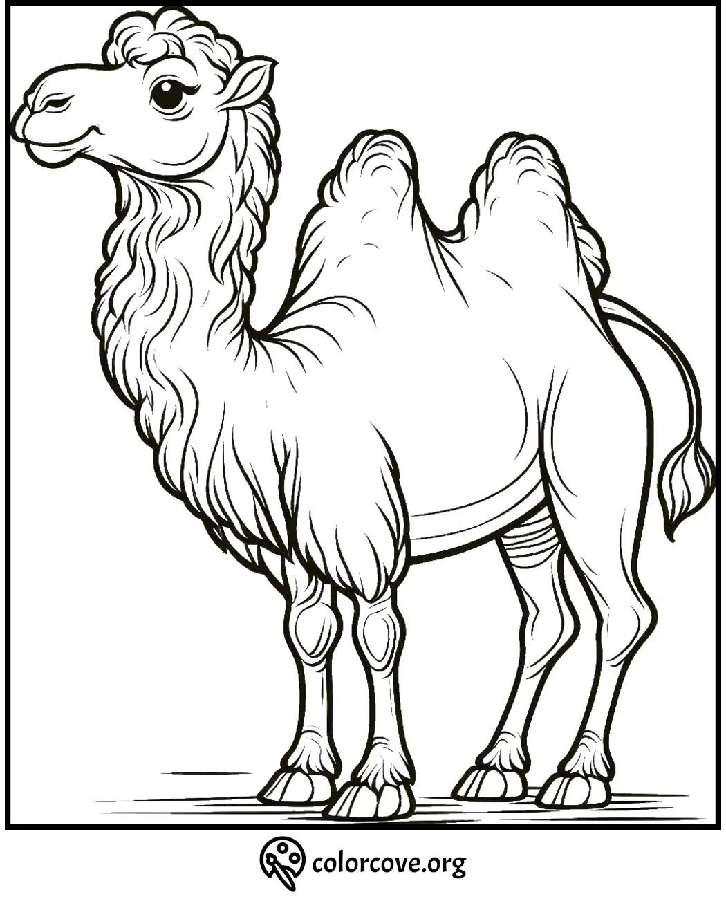 Camel coloring page for kids and adults, printable Bactrian camel illustration for creative coloring activities.