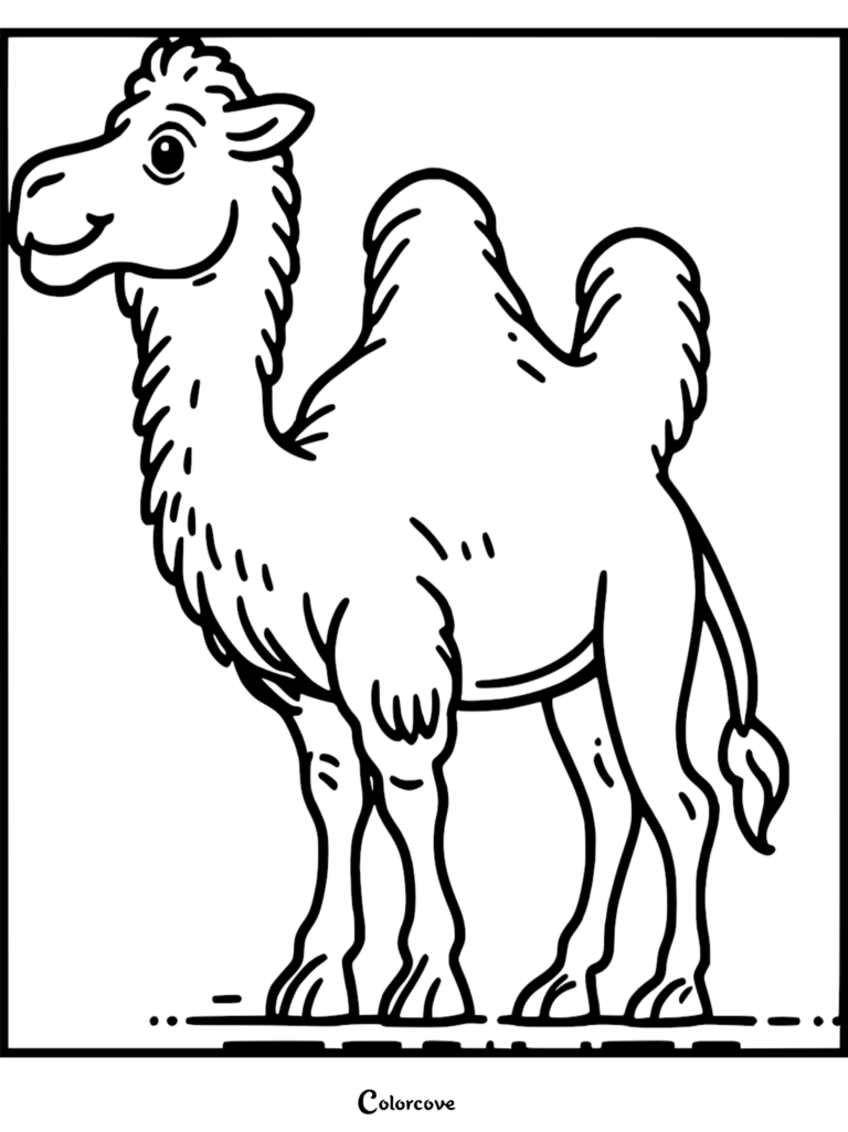 A cute two-humped camel standing in profile for a printable coloring page.