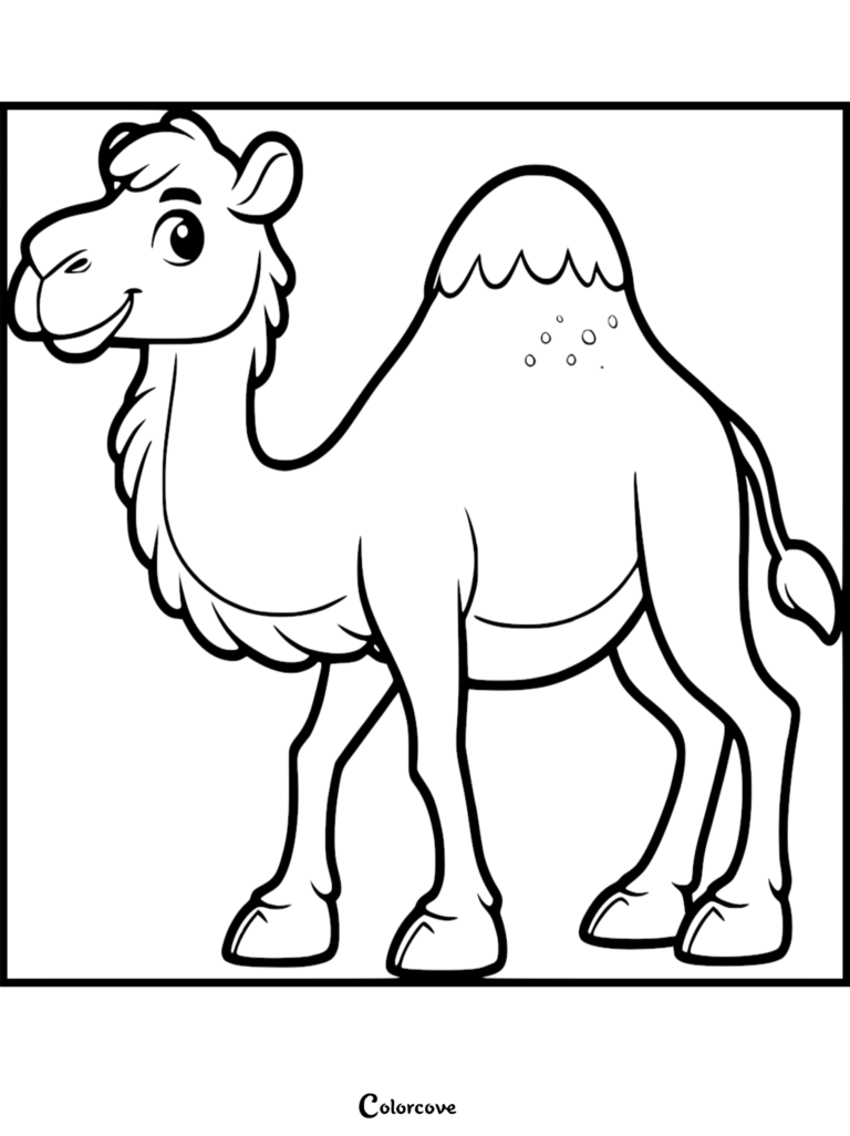 A cute camel with a single hump standing in a simple line art coloring page style.