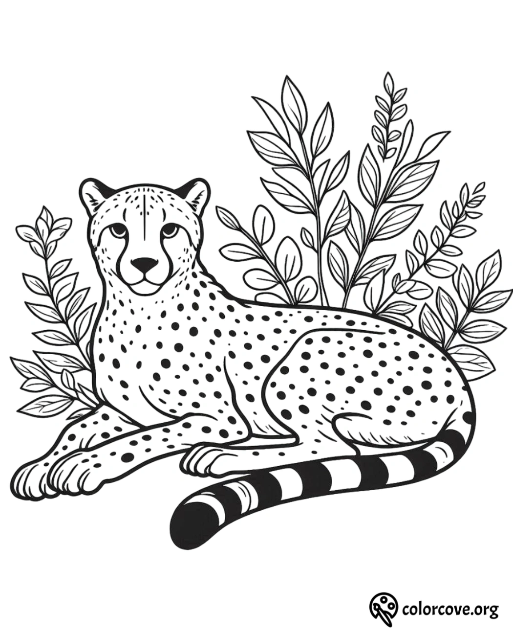 a black and white drawing of a cheetah