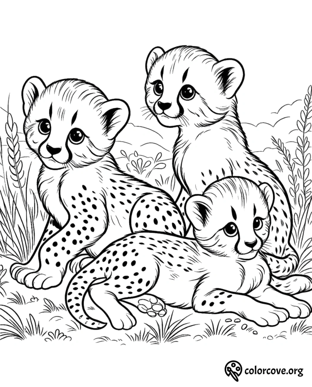 a group of cheetahs in a field