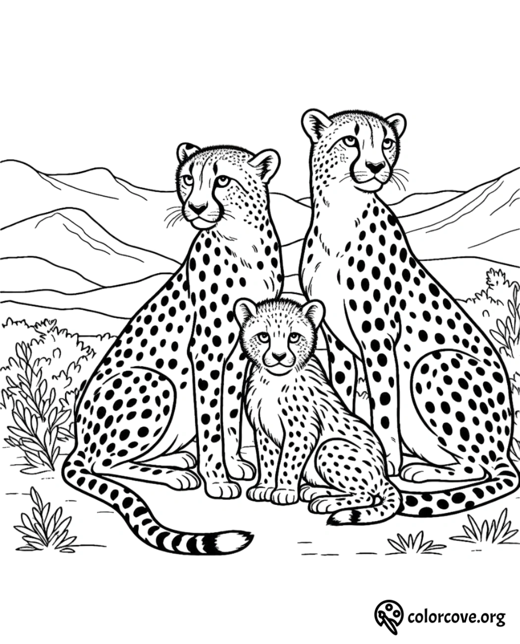 a group of cheetahs with a baby cheetah