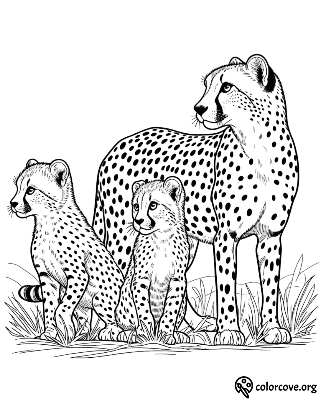 a group of cheetahs with their cubs