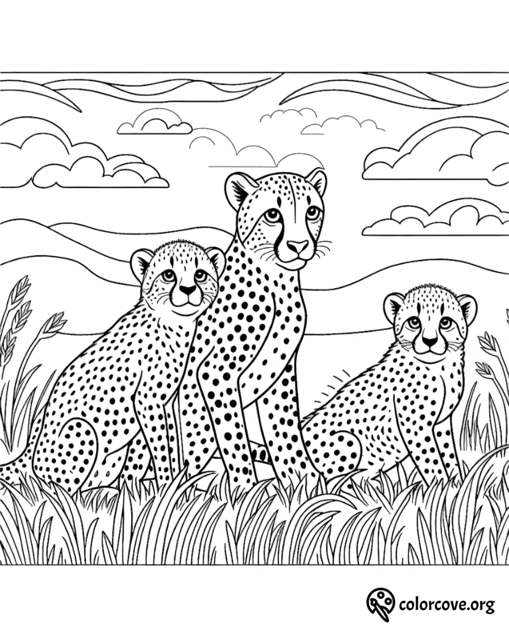 a group of cheetahs sitting in grass