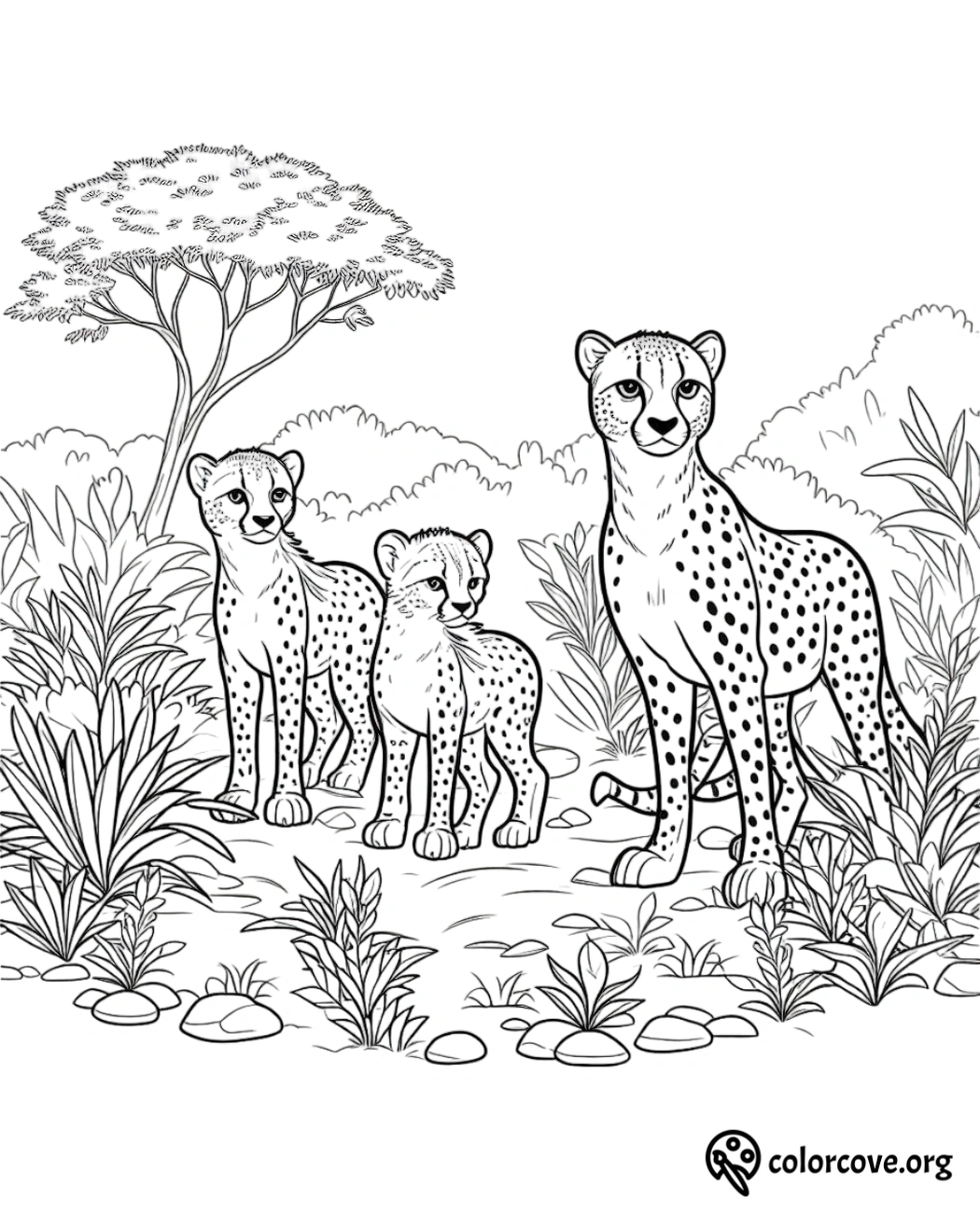 a group of cheetahs in a forest