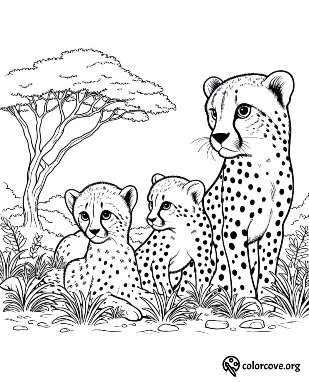 a group of cheetahs with their cubs