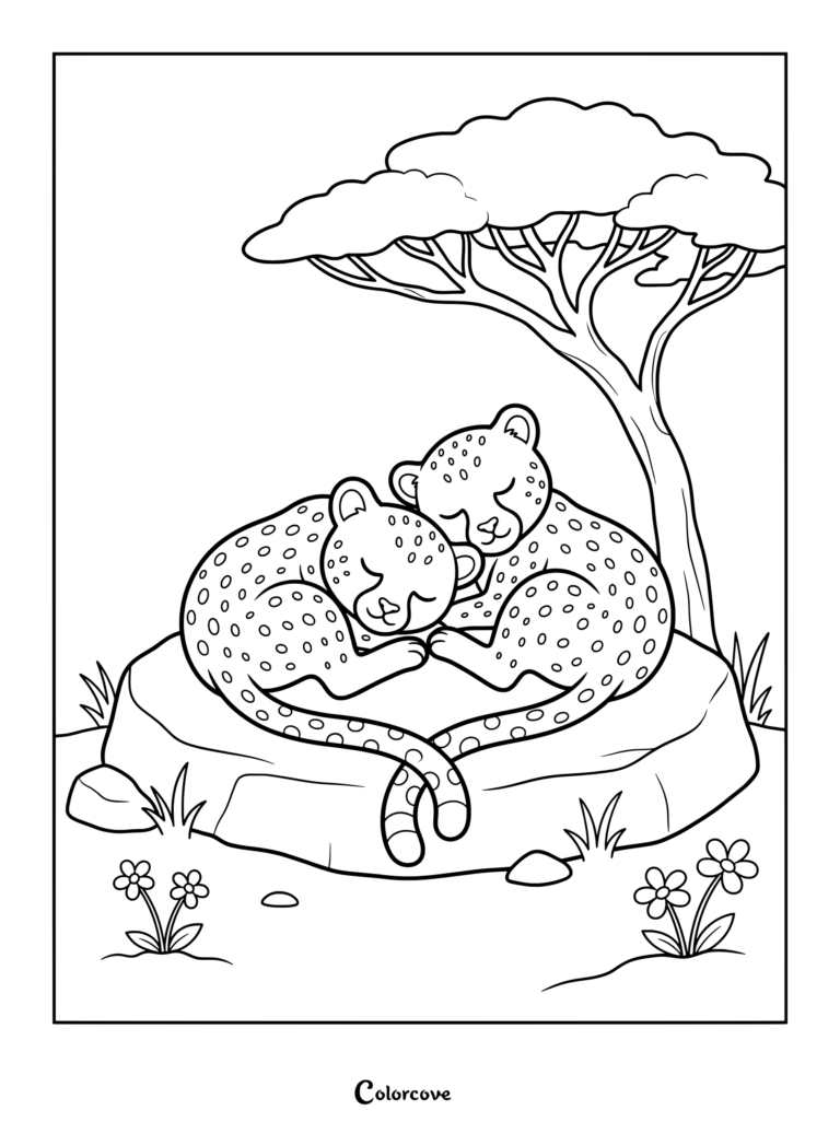 Dos adorables cachorros de guepardo durmiendo juntos sobre una gran roca bajo una acacia, dibujo para colorear