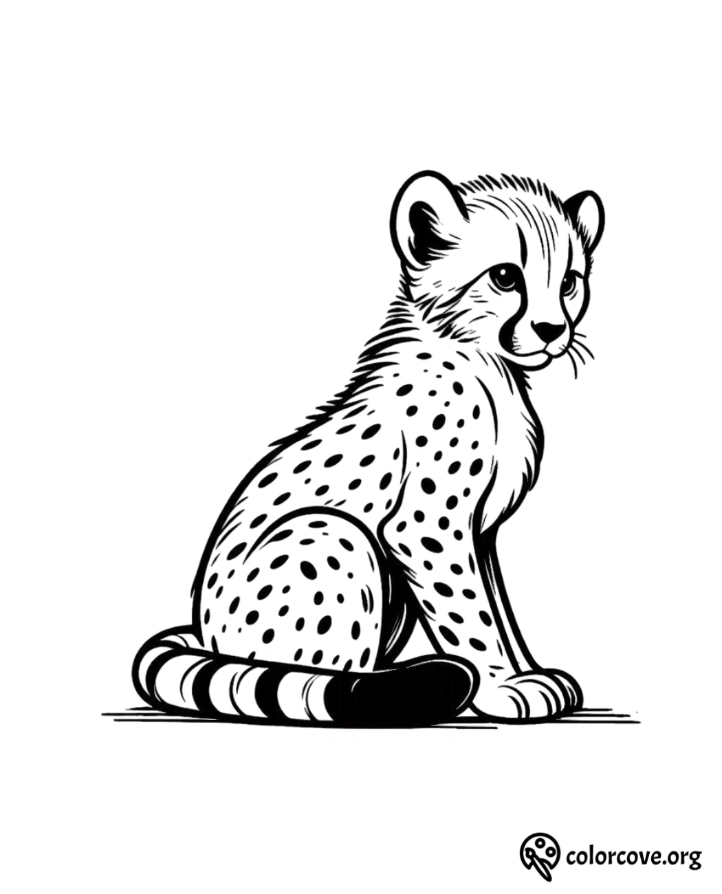 a black and white drawing of a cheetah