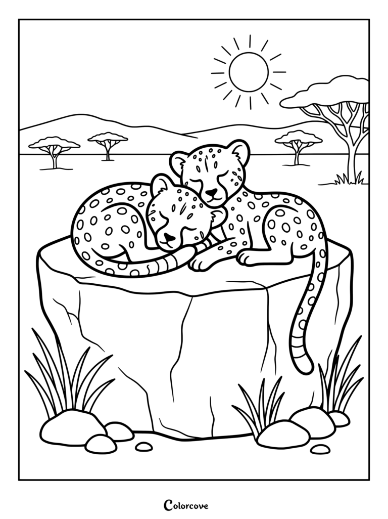 Dos adorables cachorros de guepardo tomando una siesta sobre una roca en la sabana, dibujo para colorear que presenta a una familia de guepardos.