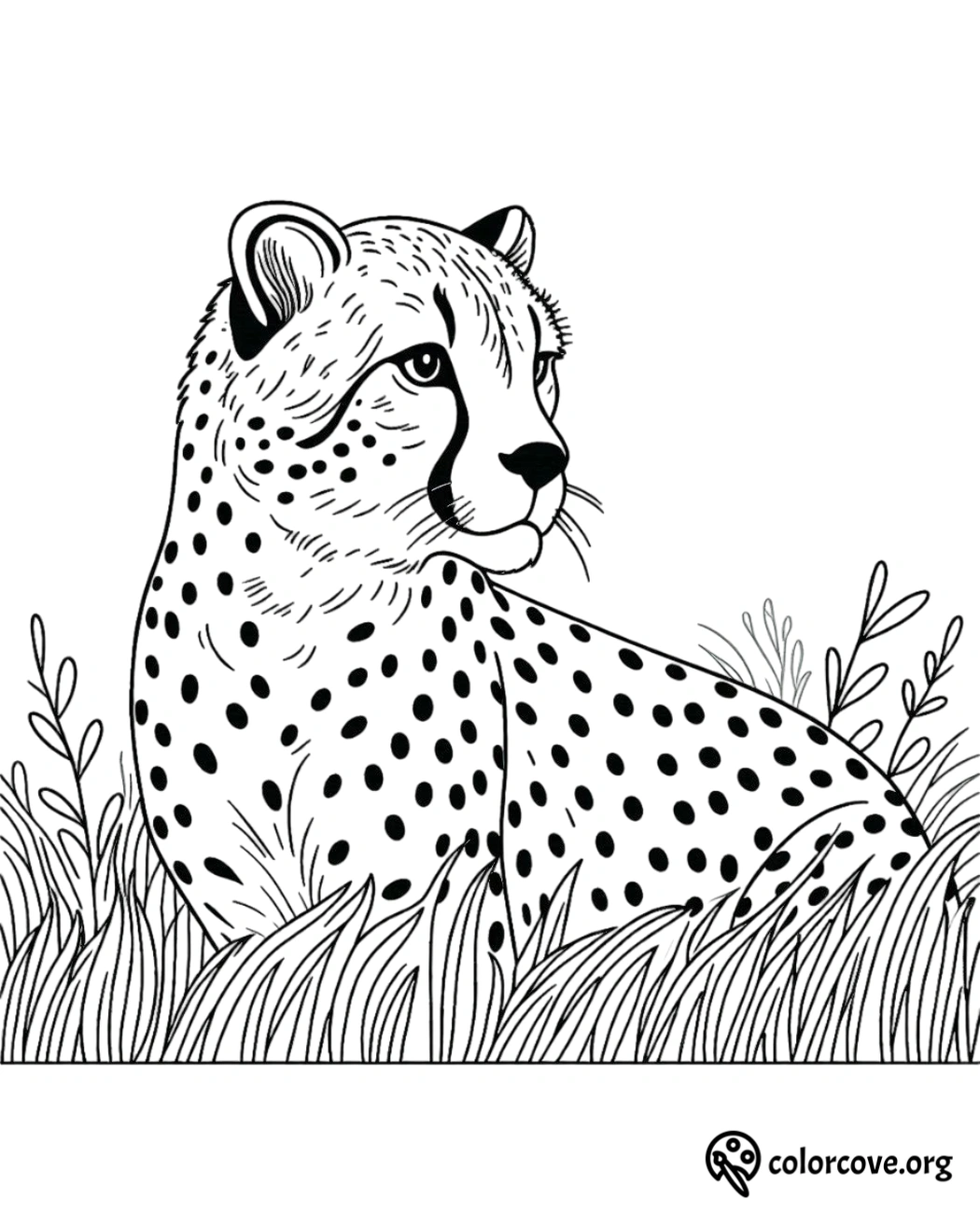 a black and white drawing of a cheetah