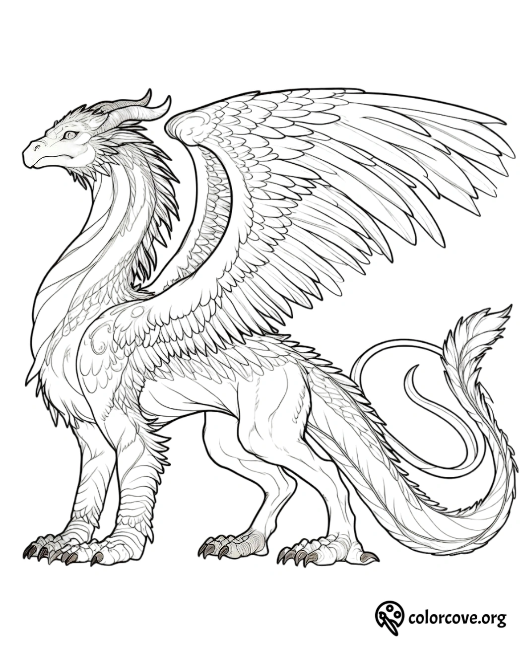 a drawing of a dragon