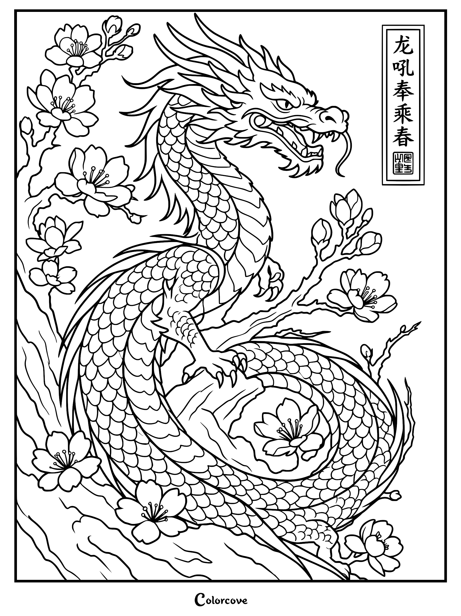 Intricate Chinese dragon winding through cherry blossom branches in a detailed line art coloring page.