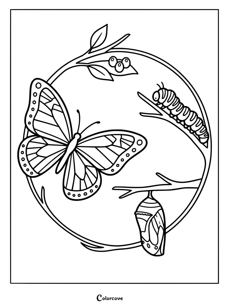 A circular coloring page featuring a butterfly, a caterpillar on a branch, and a chrysalis hanging from a twig.
