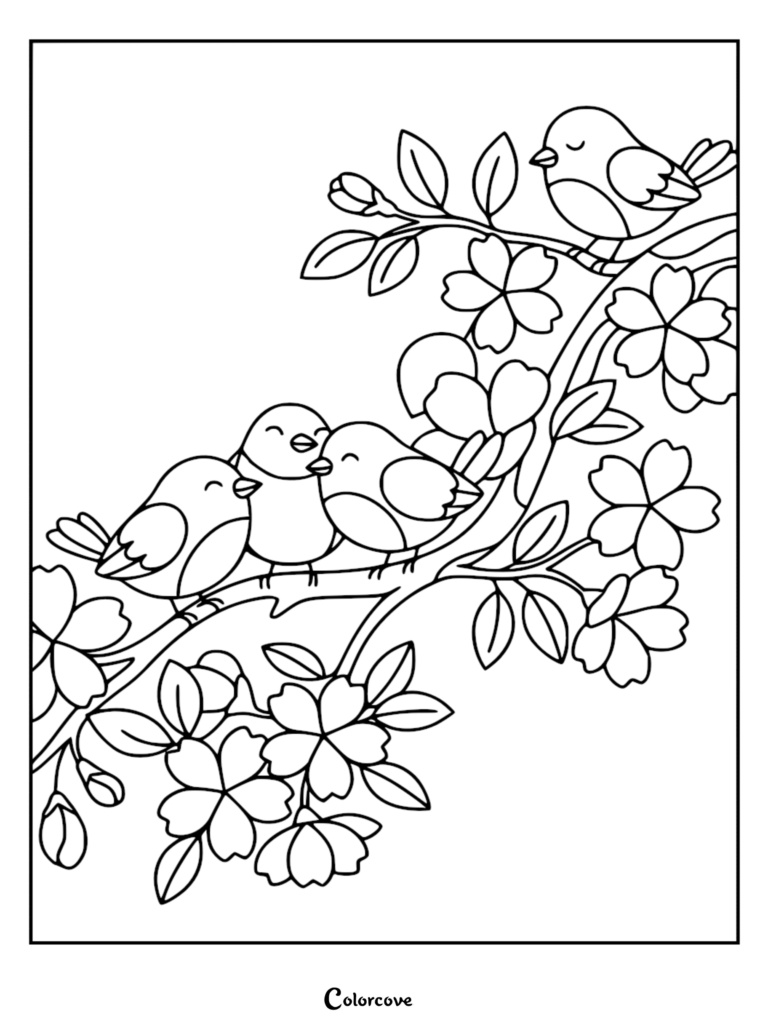 A detailed coloring page of four cute, round birds perched among cherry blossoms and leaves on a tree branch.