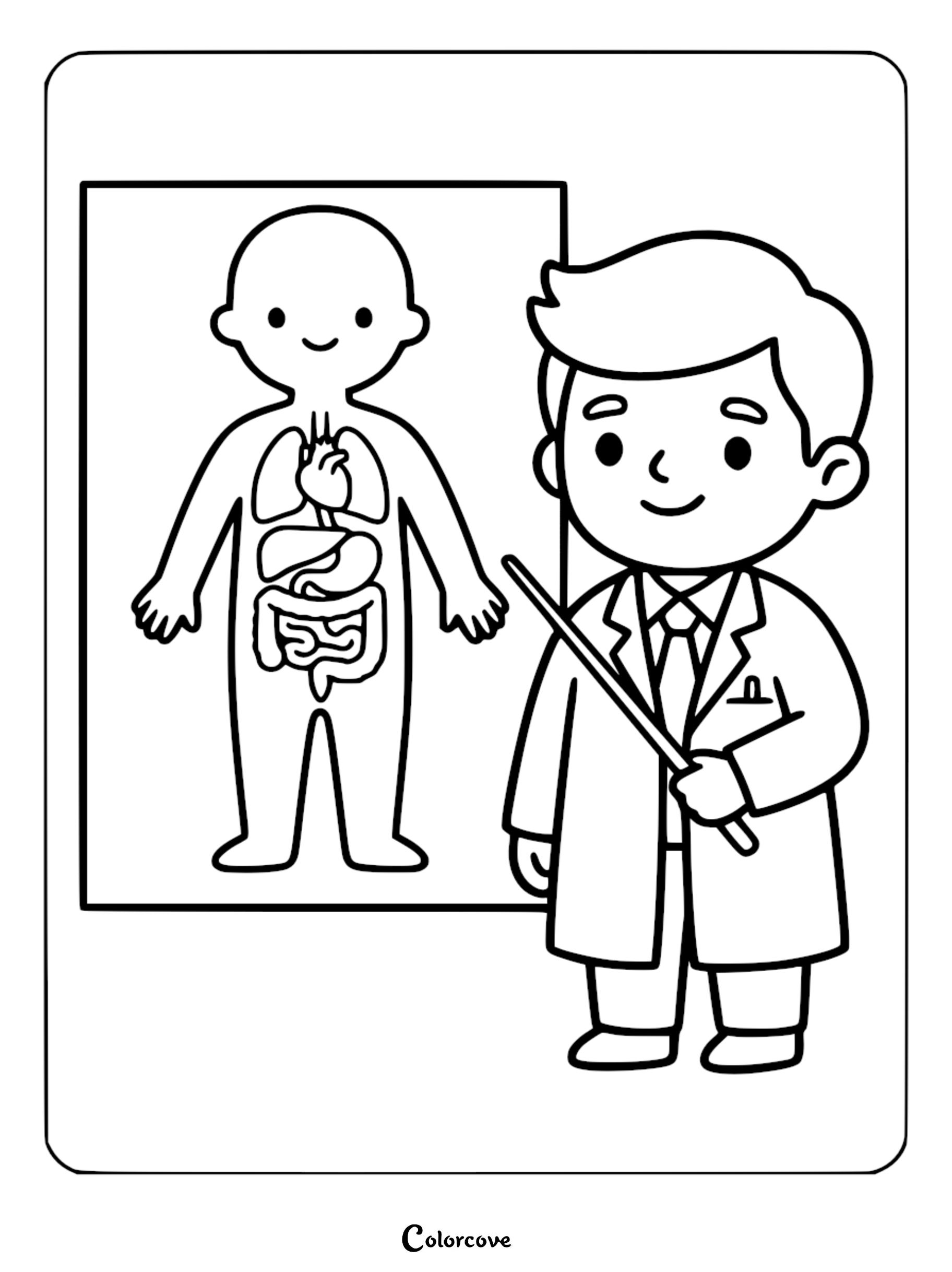 A cute doctor holding a pointer stick next to an anatomical diagram showing human internal organs on a poster, coloring page style line art.