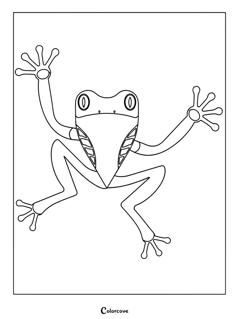 A simple line art coloring page featuring a cute frog with large eyes and splayed toes.