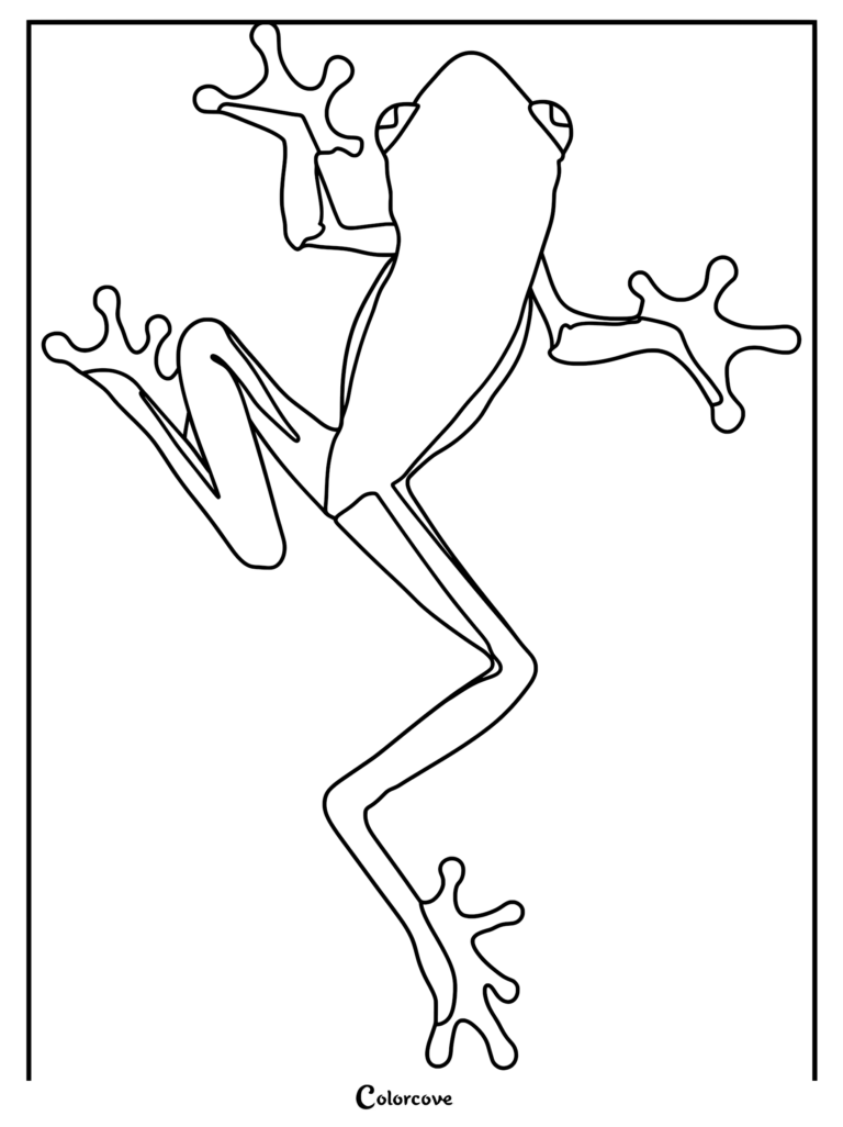 A simple line art coloring page of a cute frog climbing vertically with splayed toes.