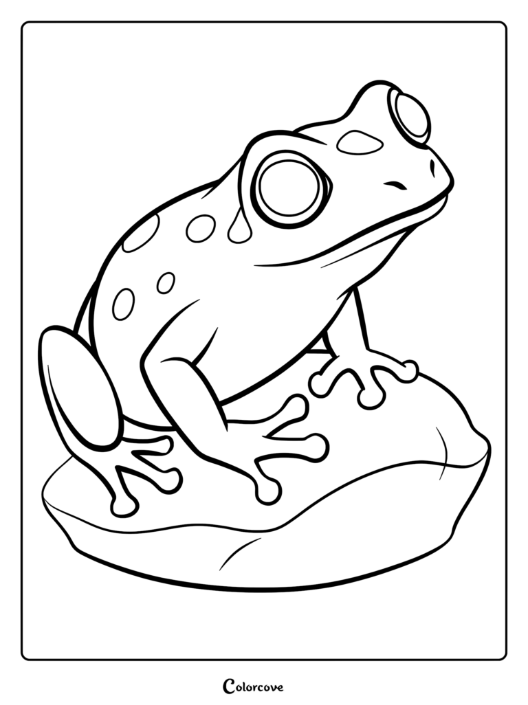 A cute frog with spots sitting on a smooth rock in this printable coloring page.