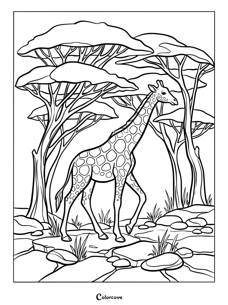 Una linda jirafa caminando por un paisaje rocoso de la sabana con árboles de acacia en esta página para colorear imprimible.