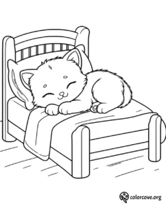 a cat lying on a bed