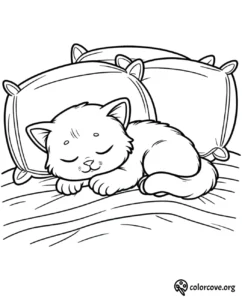 a cat sleeping on a bed
