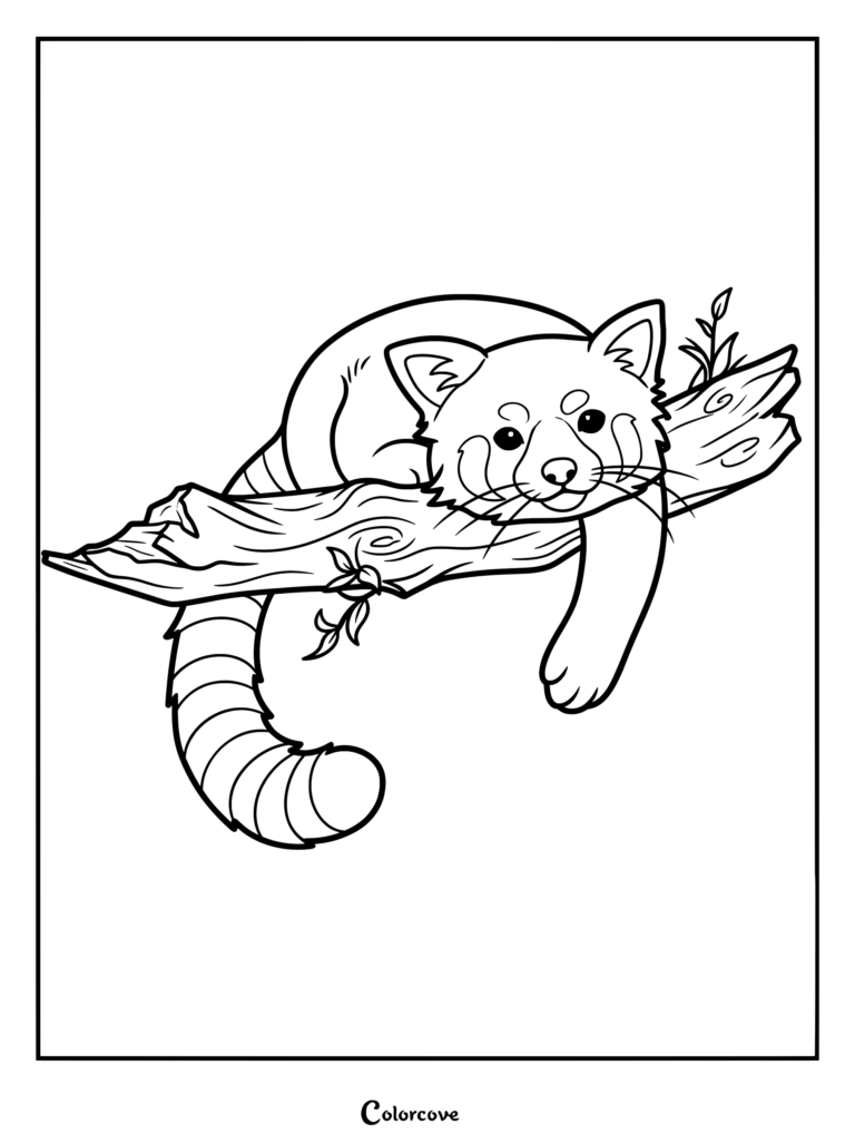 A cute red panda resting on a tree branch in this printable coloring page.