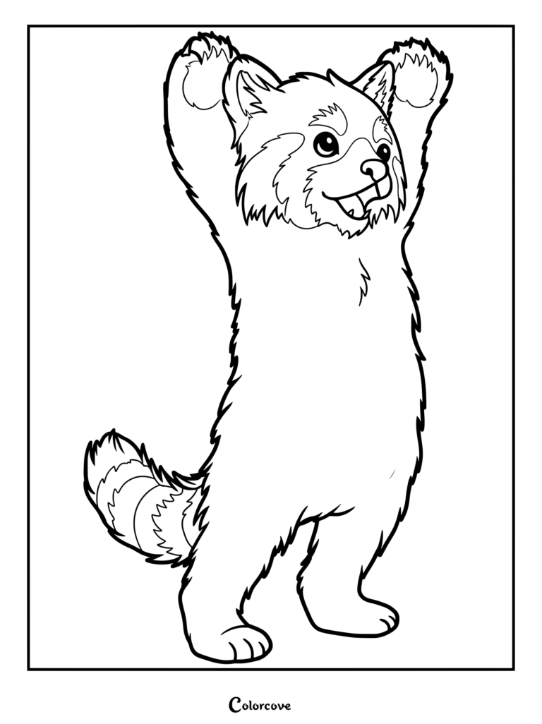 A cute red panda standing on its hind legs with both paws raised high in a coloring page style.