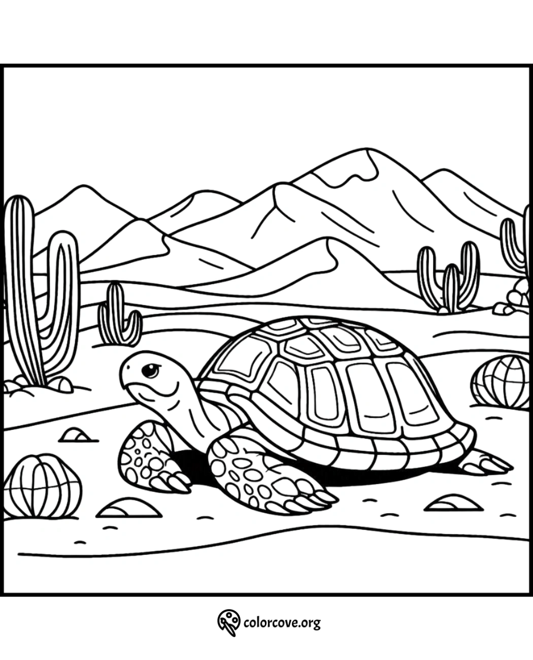 a black and white image of a turtle in a desert