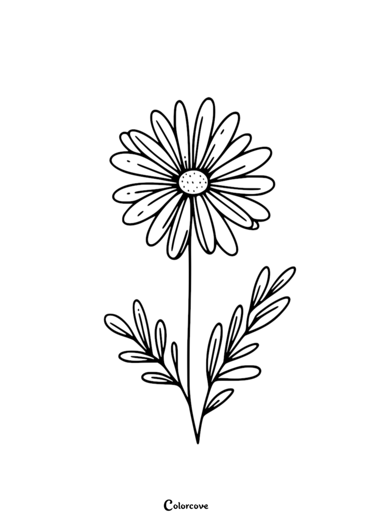 Free printable daisy coloring page featuring a simple flower with long petals and detailed leaves.