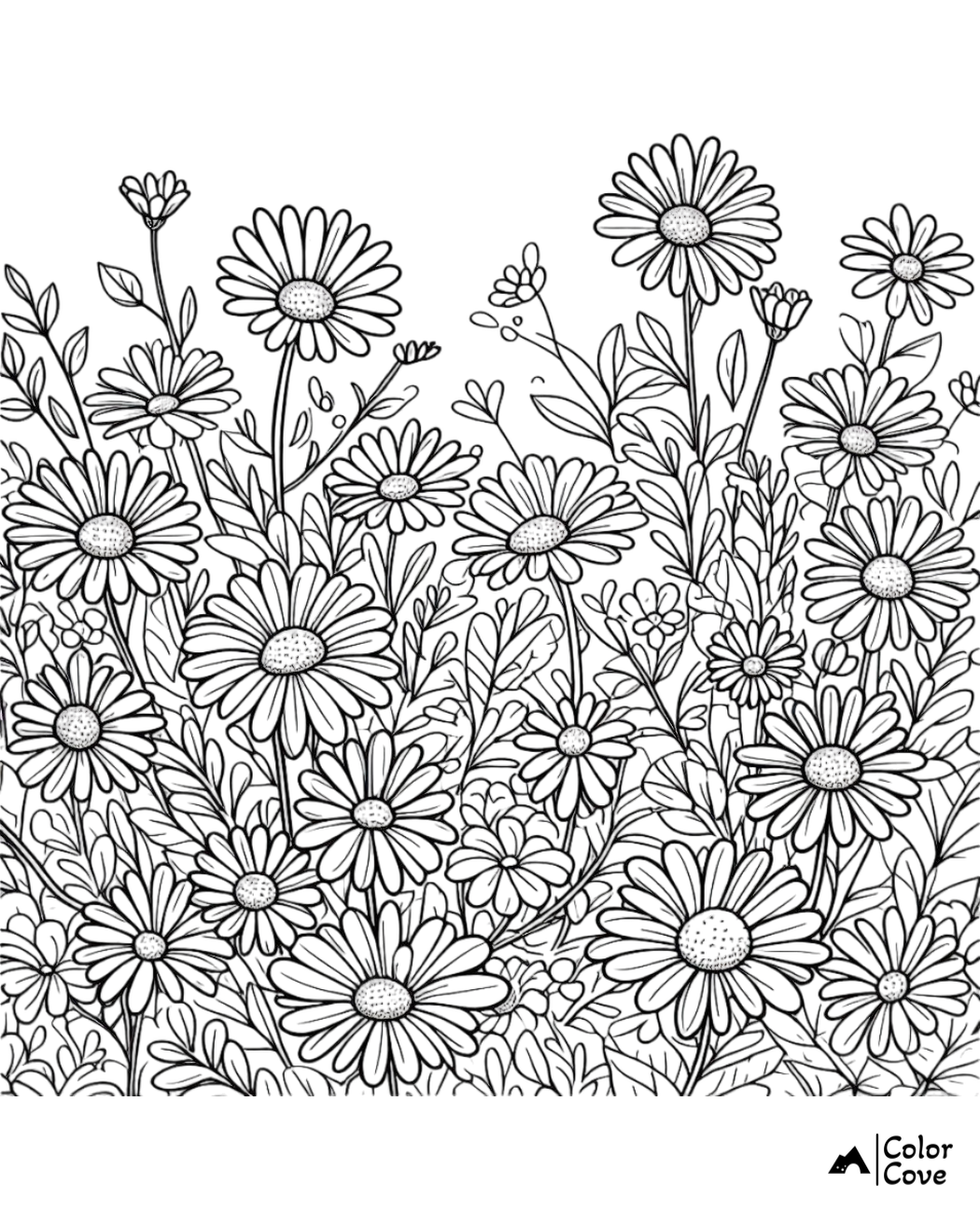 Floral coloring page featuring detailed daisy flowers and leaves for adults and kids to color. Perfect for relaxation.