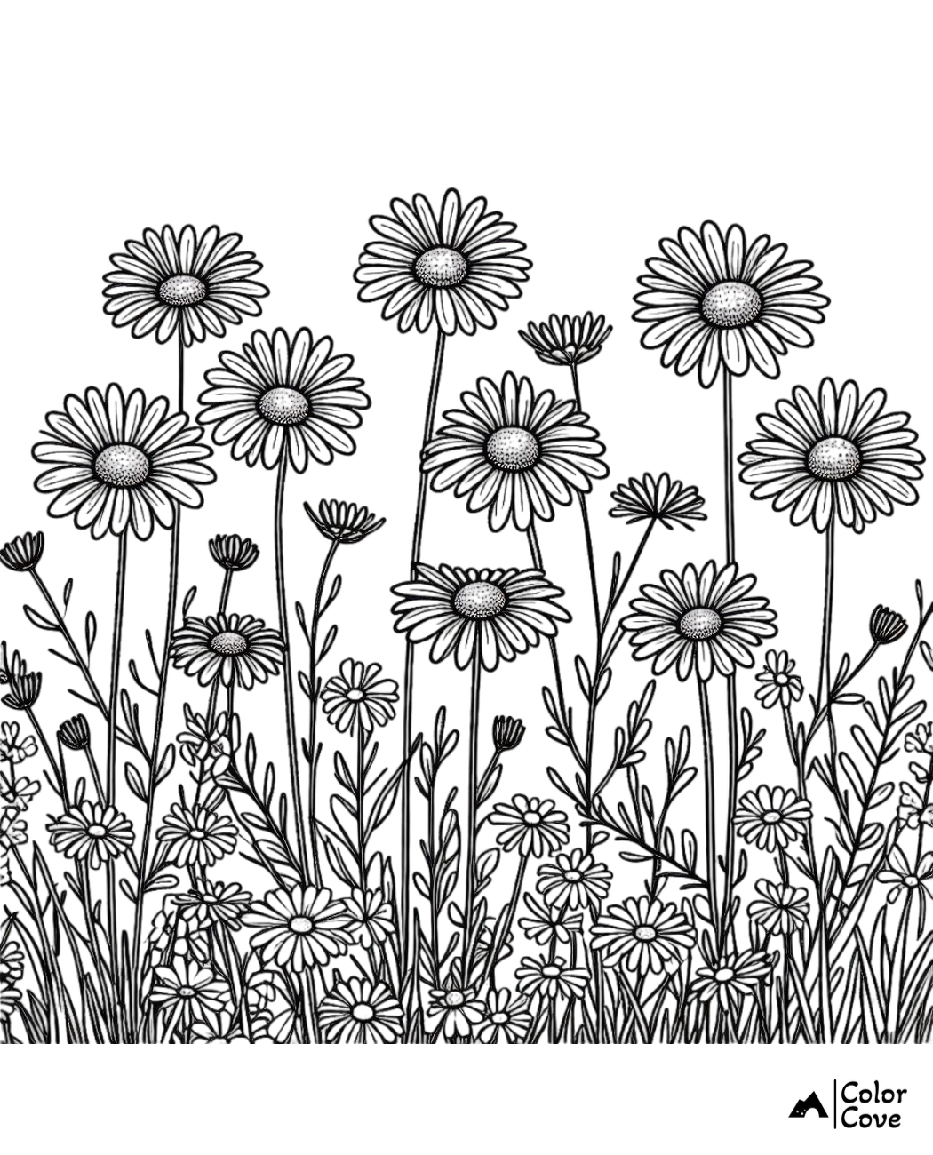 Coloring page featuring detailed illustrations of blooming daisies in a field. Perfect for relaxation and creativity.