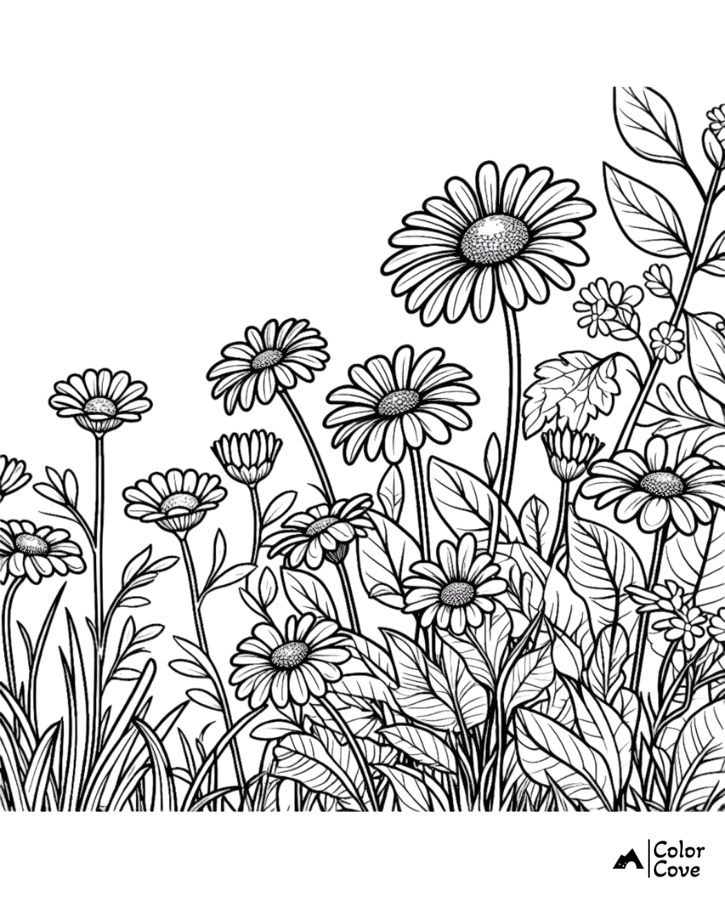 Daisy flowers coloring page with intricate leaves and stems, perfect for relaxing and creative coloring activities.