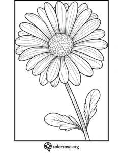 Flower coloring page with a detailed daisy illustration for kids and adults by ColorCove.org