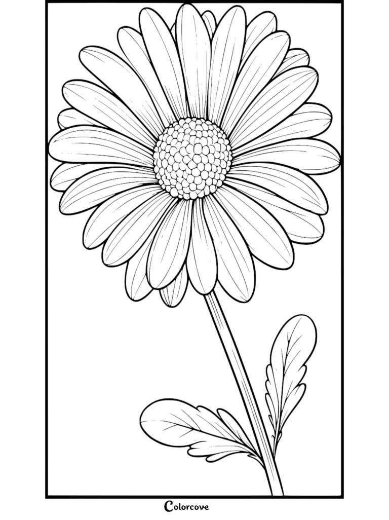 Free printable daisy coloring page featuring a detailed flower with long petals and leaves.