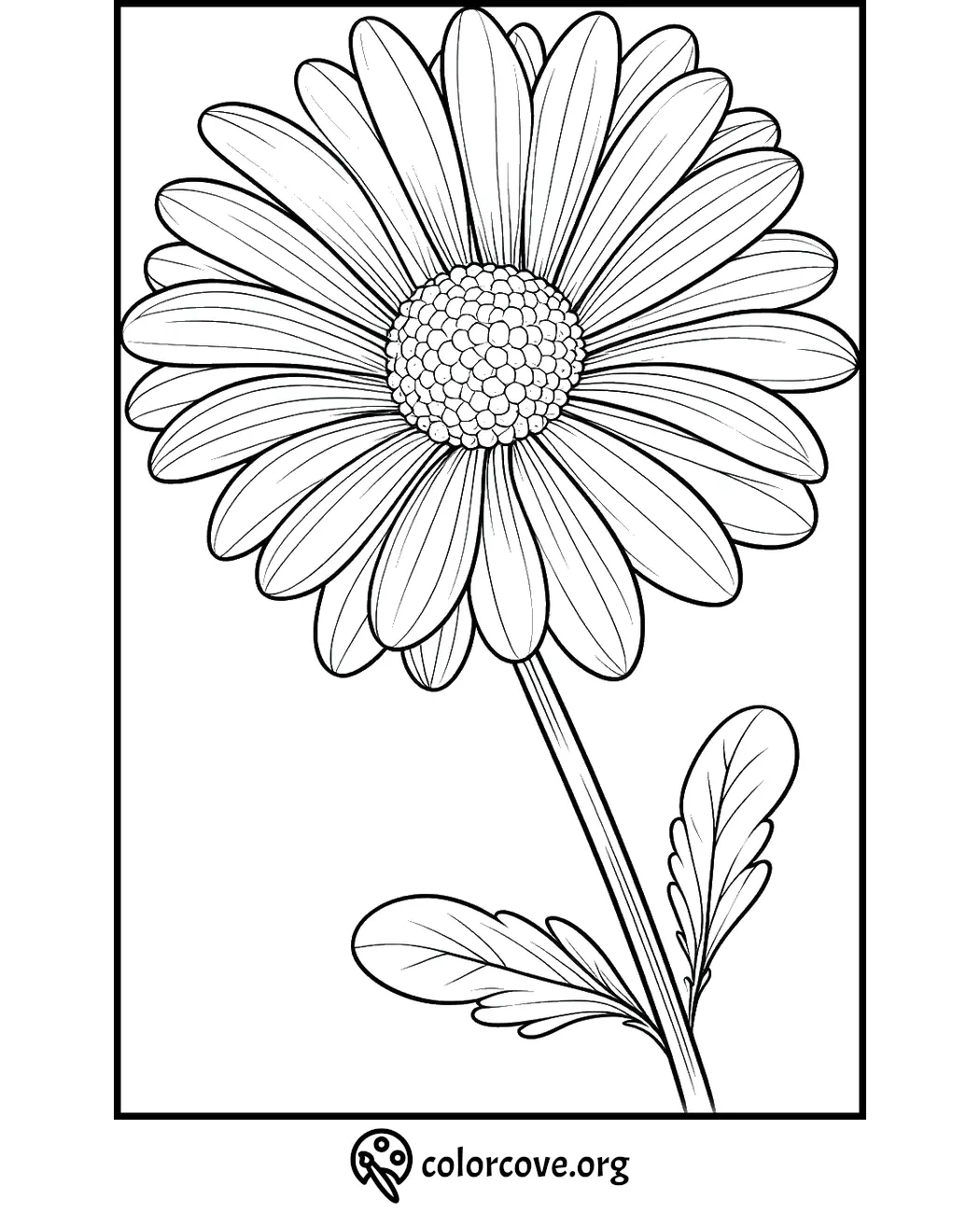 Flower coloring page with a detailed daisy illustration for kids and adults by ColorCove.org