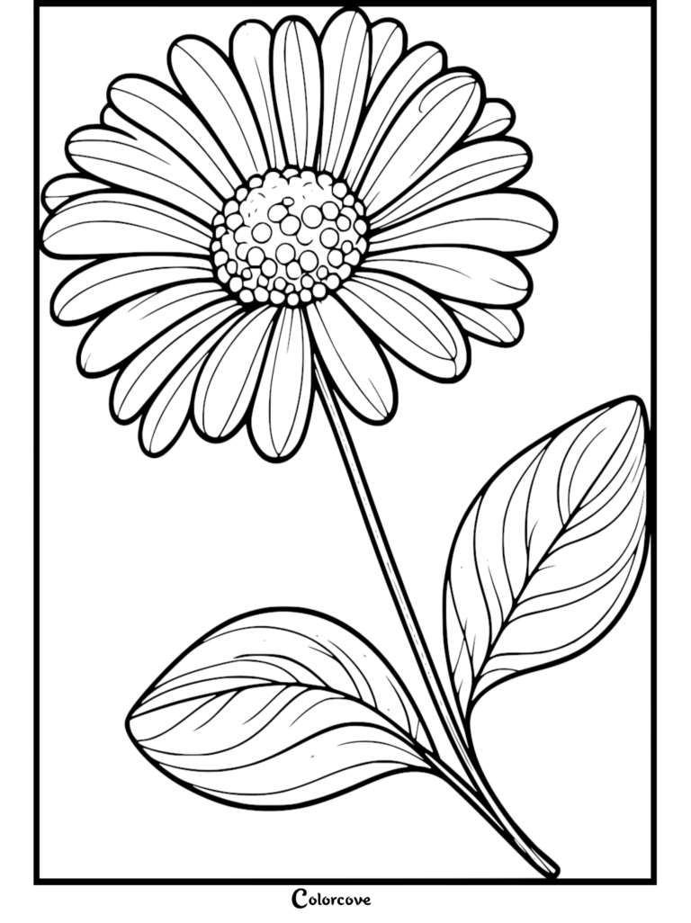 Daisy Coloring Pages Free Printable 24 featuring a single blossom with leaves