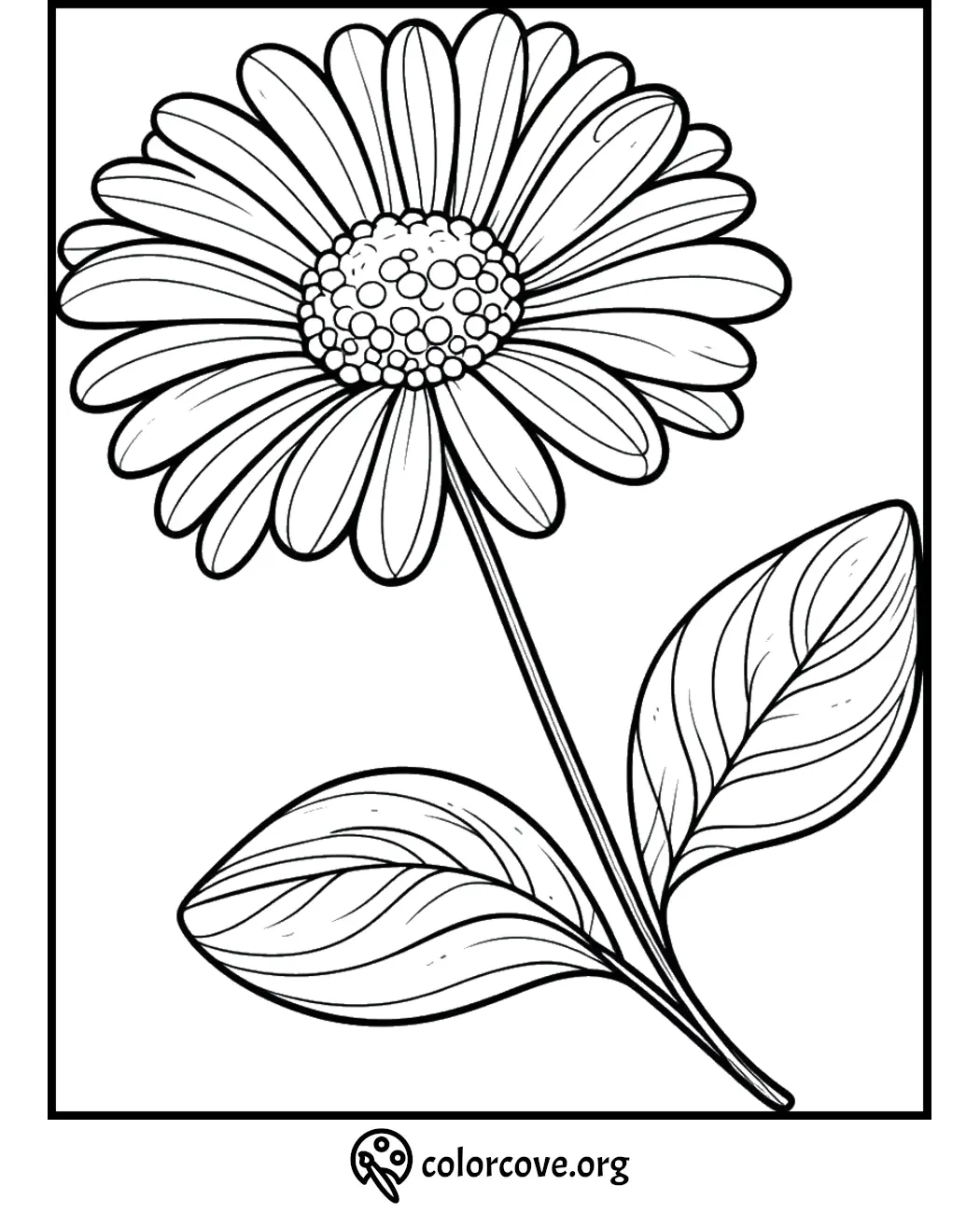 Printable coloring page of a simple daisy flower with petals, stem, and leaves. Ideal for kids and adults. colorcove.org