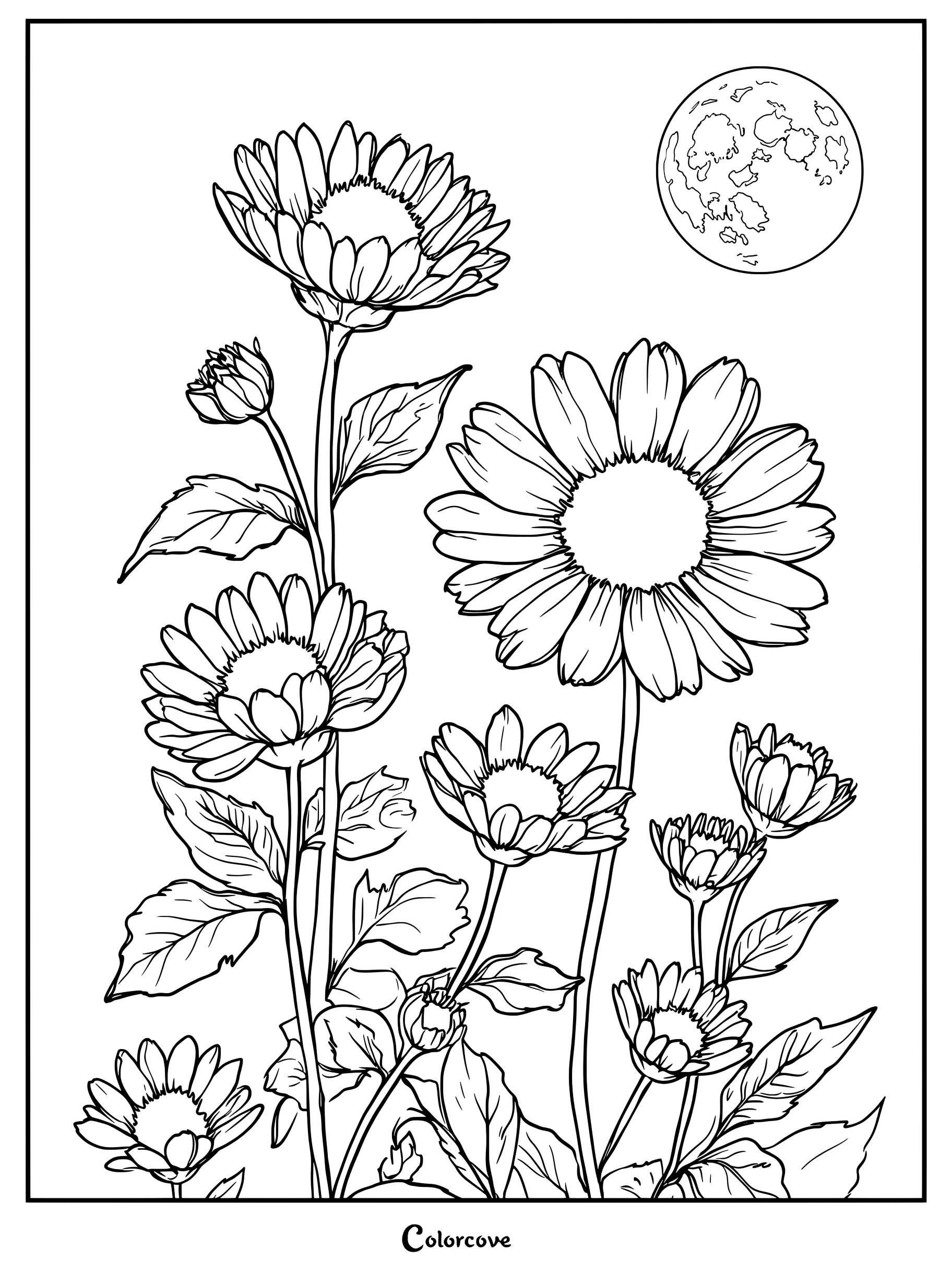 Dibujo para colorear de margaritas detallado con flores bajo una luna con textura.