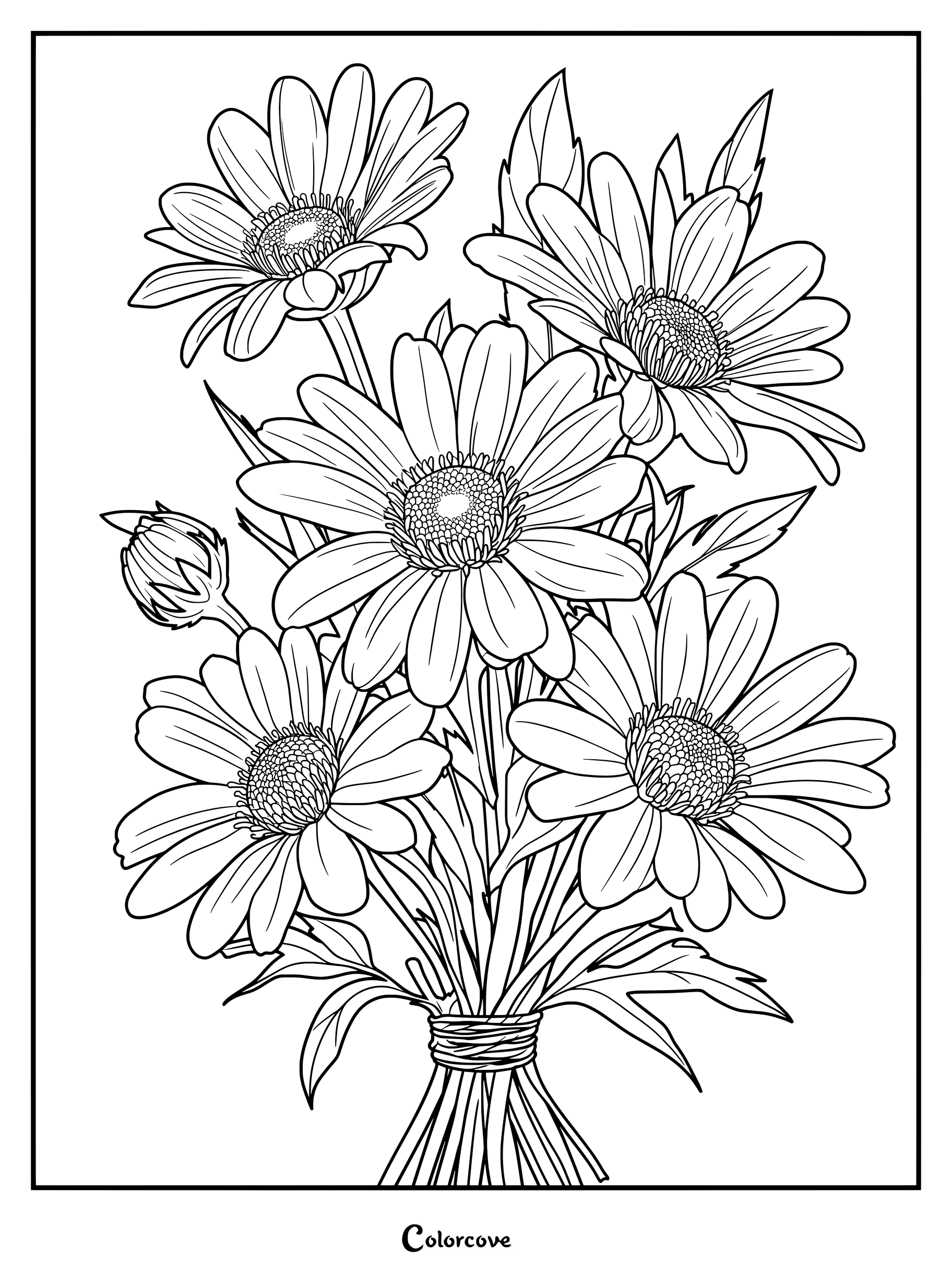 Ilustración digital para un dibujo para colorear de un ramo de margaritas con varias flores y hojas.