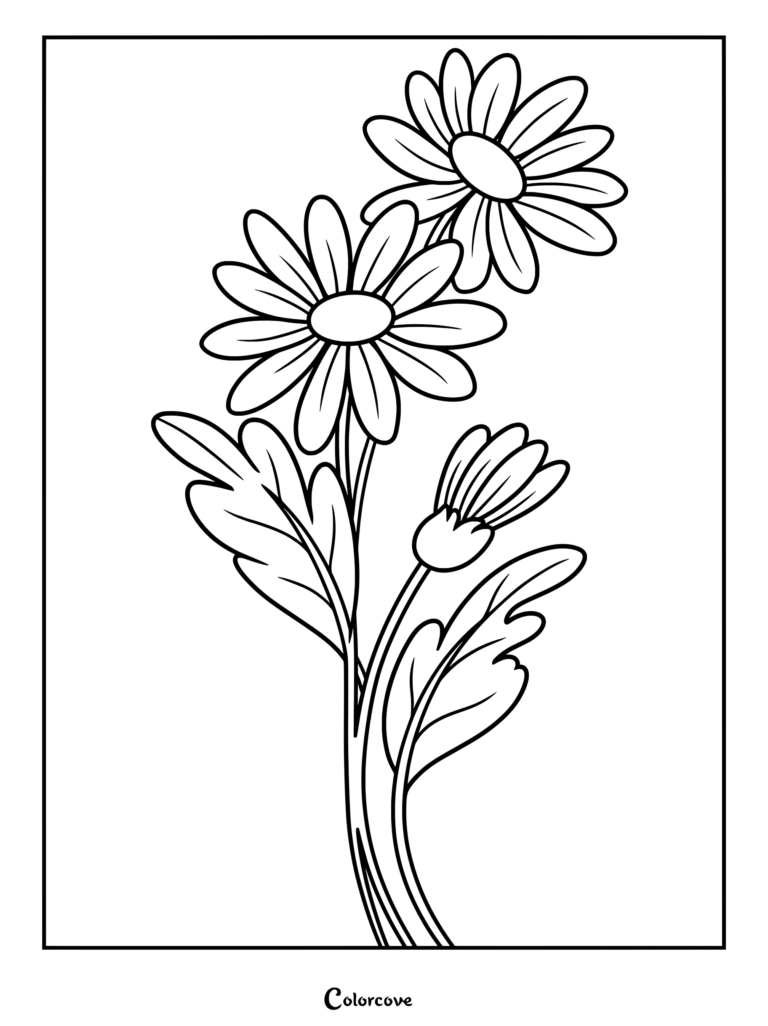 Printable daisy coloring page featuring three blooming flowers and a bud with detailed leaves.