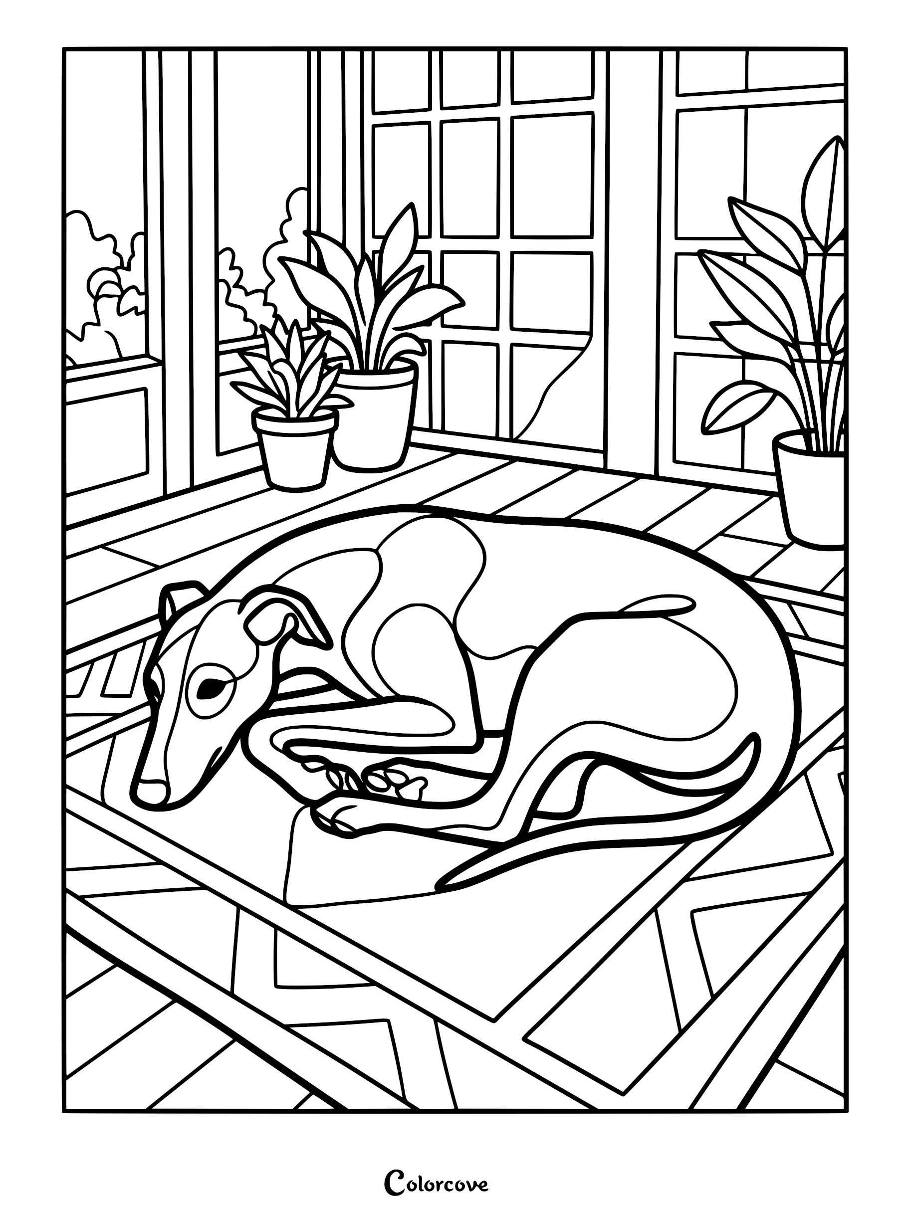 A Greyhound dog curled up sleeping on a rug in a sunroom with potted plants, line art coloring page.