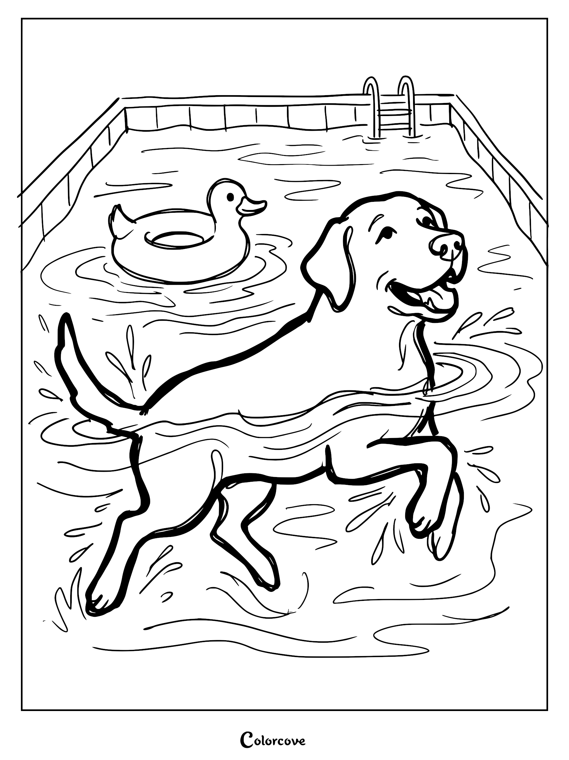A happy Labrador retriever swimming in a backyard pool with a rubber duck floatie, black and white coloring page.