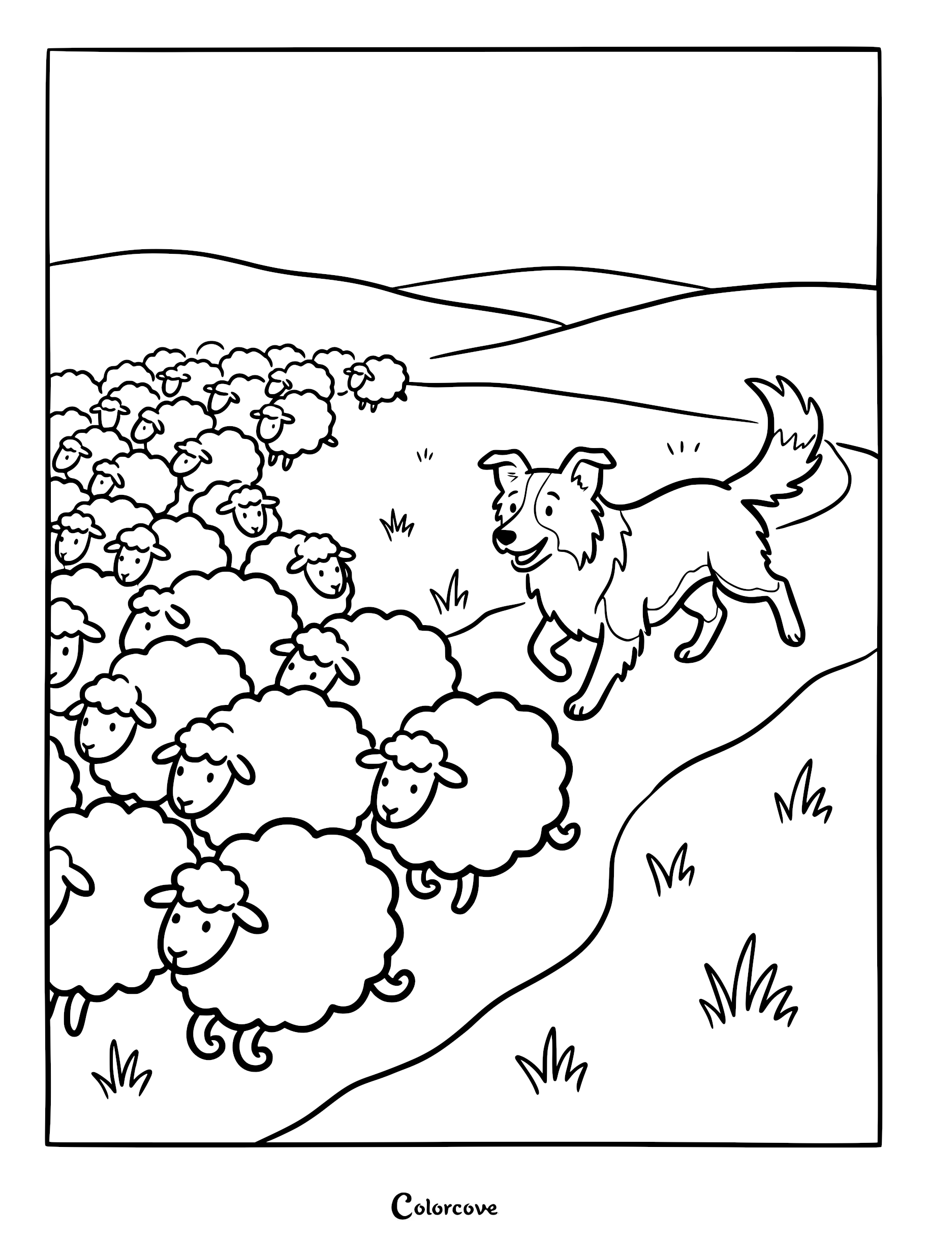 A happy Border Collie herding a large flock of fluffy sheep in a grassy meadow coloring page.