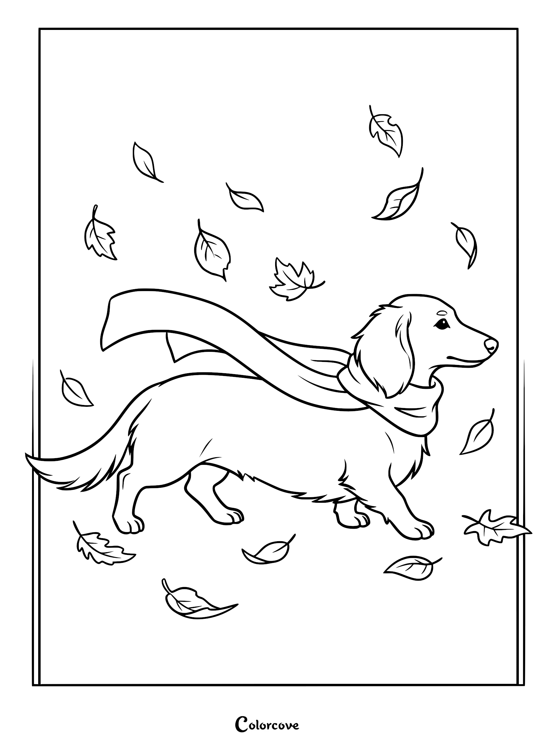A long-haired dachshund wearing a flowing scarf walking through falling autumn leaves in this printable coloring page.