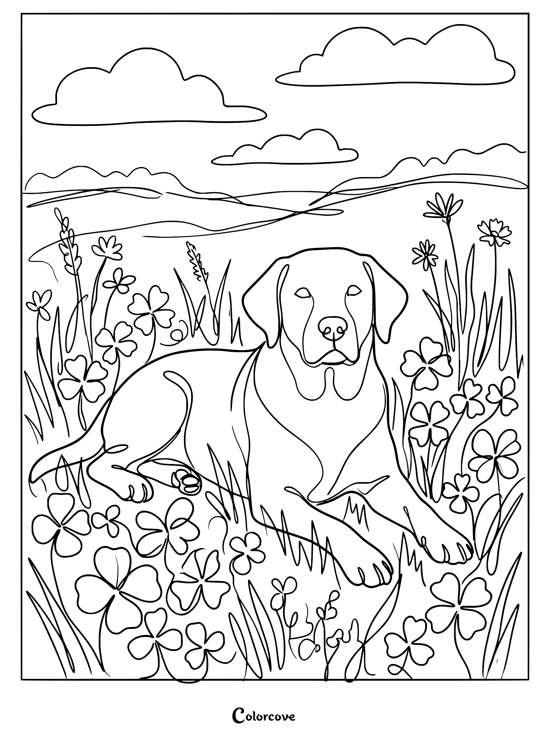 A Labrador Retriever lying down in a field of clover and wildflowers, line art coloring page style.