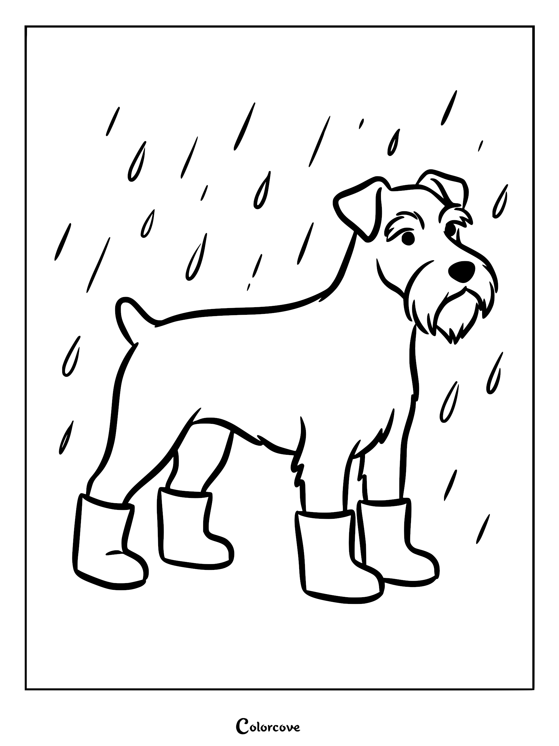A line art coloring page featuring a Schnauzer dog wearing four rubber rain boots while standing in a rainstorm.