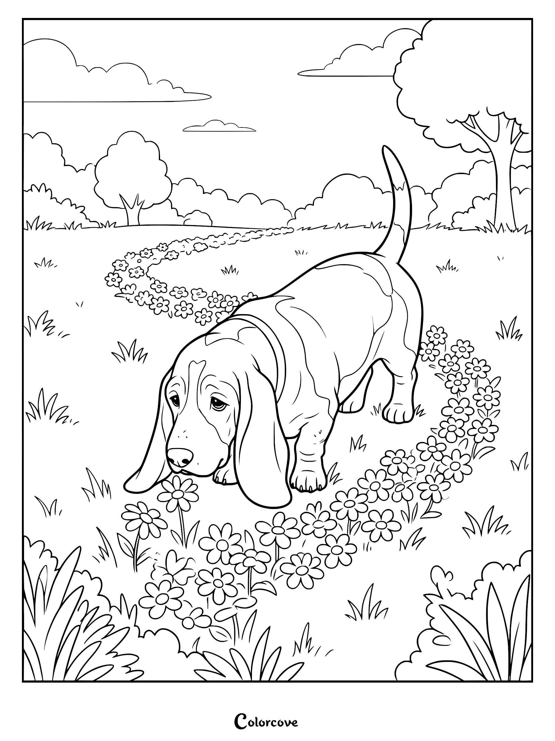 A Basset Hound with long ears sniffing a path of flowers in a park coloring page