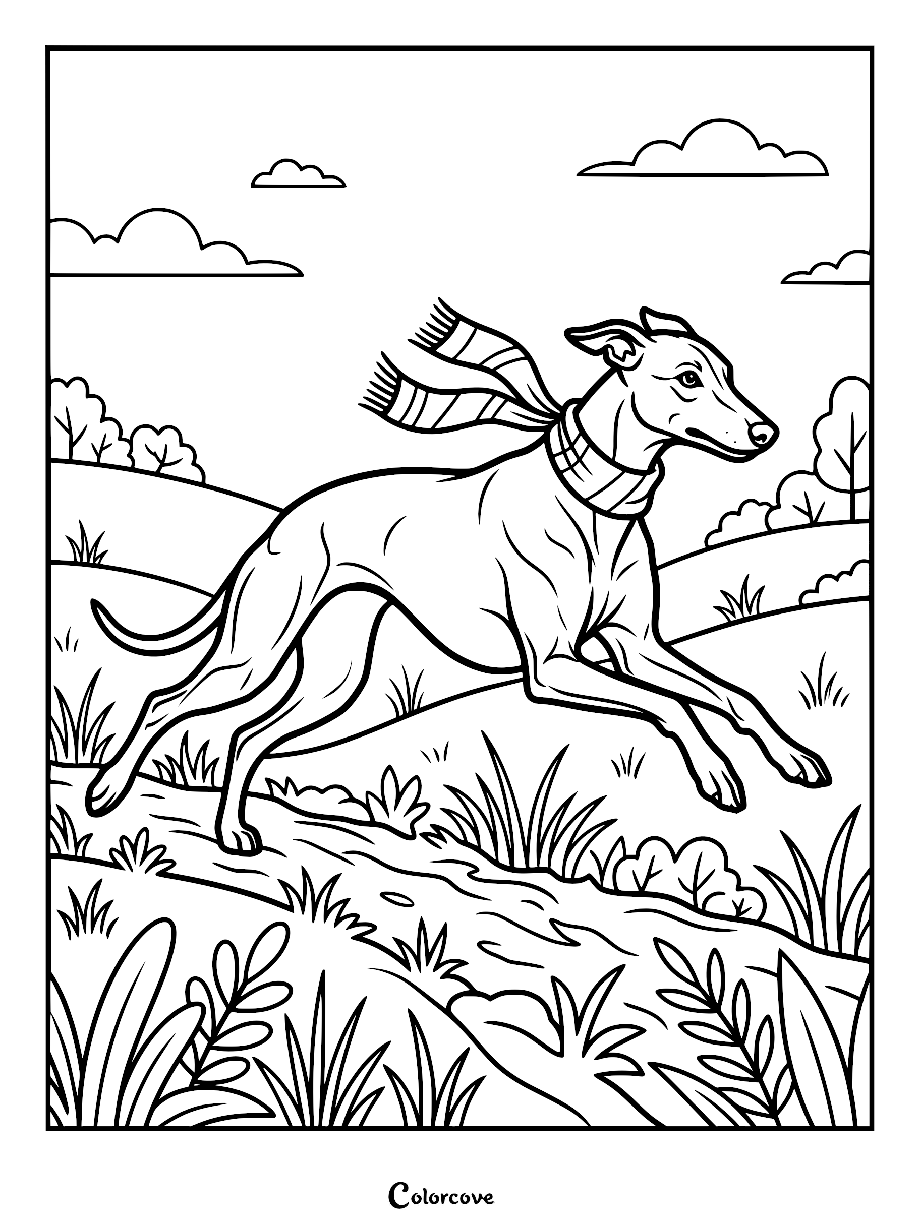 A Greyhound wearing a striped scarf running through a grassy field in this printable coloring page.