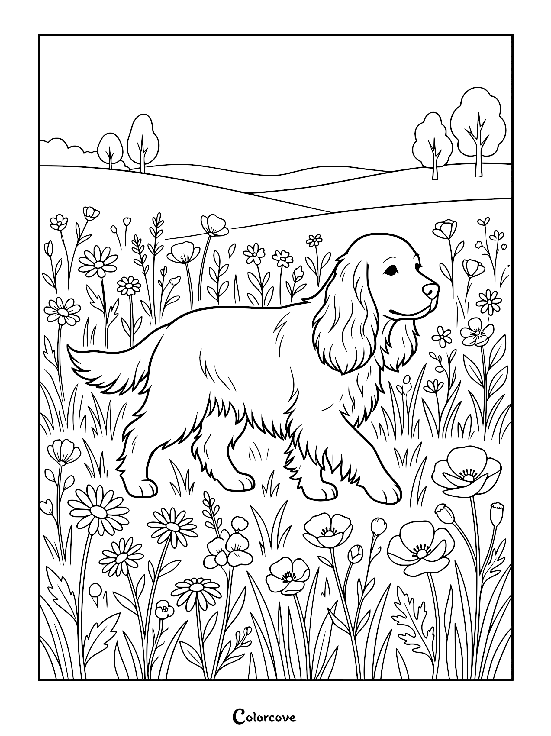 A friendly Cocker Spaniel walking through a field of daisies and poppies in this detailed dog coloring page.